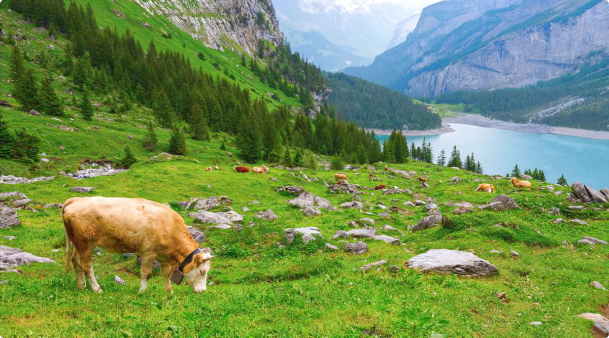 Nejlepší nabídky pronájmu aut v Kanderstegu